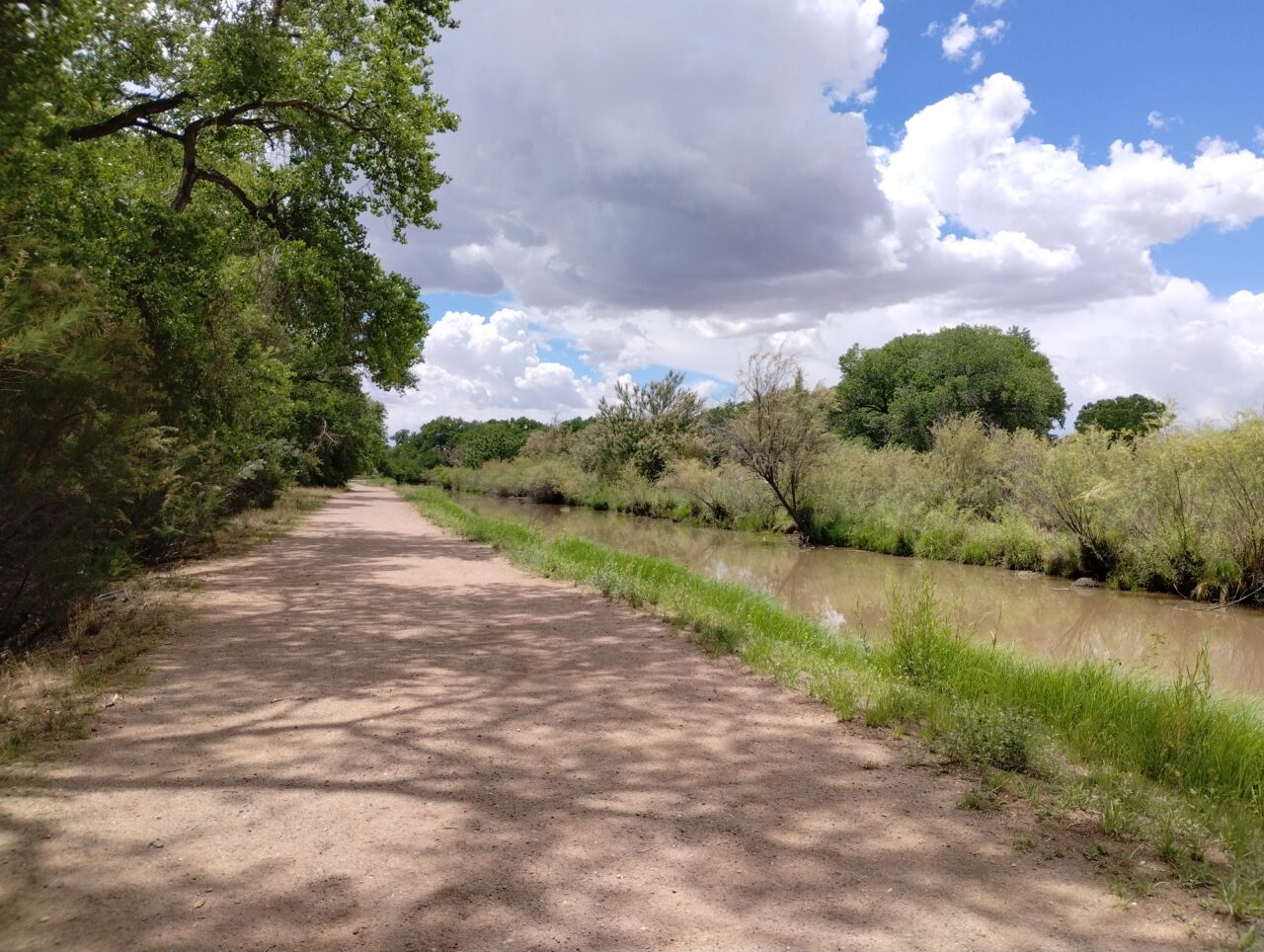 Photo of an acequia in the Albuquerque metropolitan area, note the walking trail to the left and the acequia itself to the right. These walking trails are featured often on both sides of the acequia, and are a staple for strolls through the river bosque.